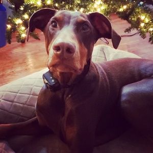 Meet your Posher, Kathleen